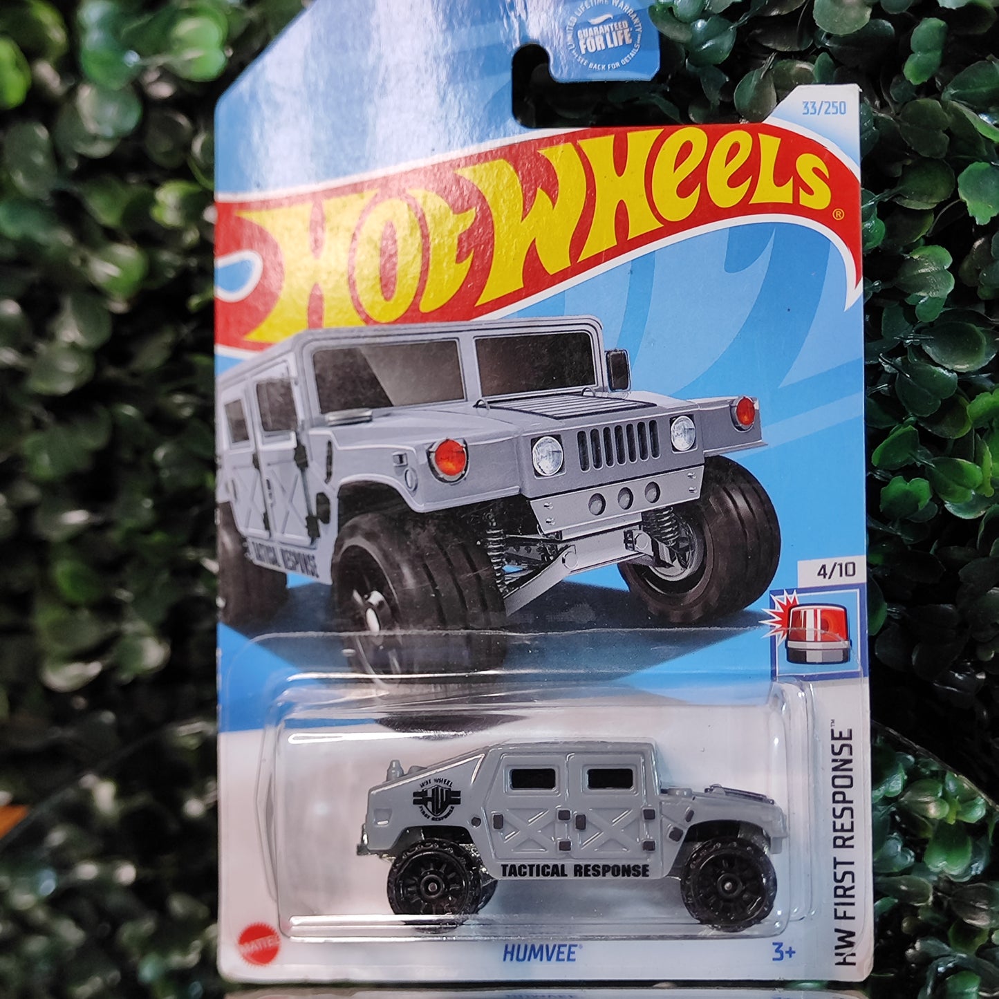 IMG_20250925_114013 • B03 • Basico, Hotwheels