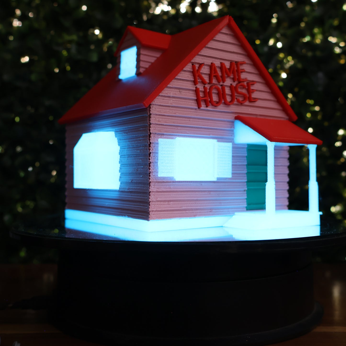 KAME HOUSE DRAGON BALL ROSHI'S HOUSE IMPRESION 3D