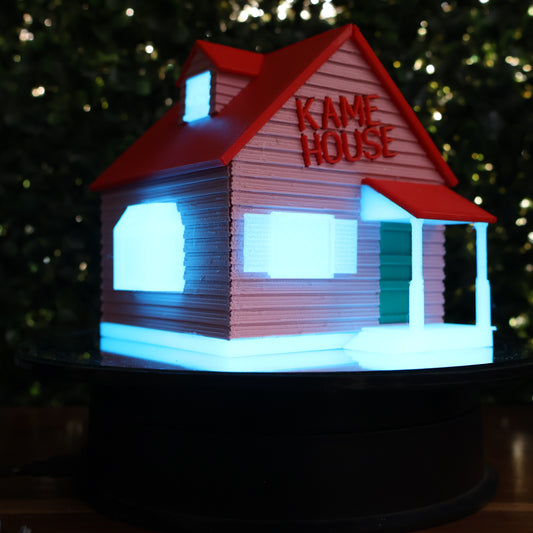 KAME HOUSE DRAGON BALL ROSHI'S HOUSE IMPRESION 3D